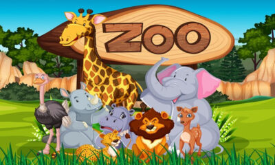 ya magical animal zoo